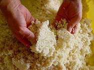 ���Ɛ����X/�č�