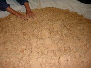 ���Ɛ����X/����