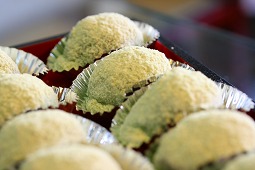 ���������݁i���Ɛ����ȕ��j